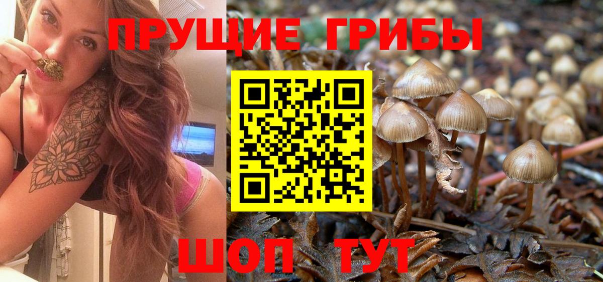 Псилоцибиновые грибы прущие грибы Асино