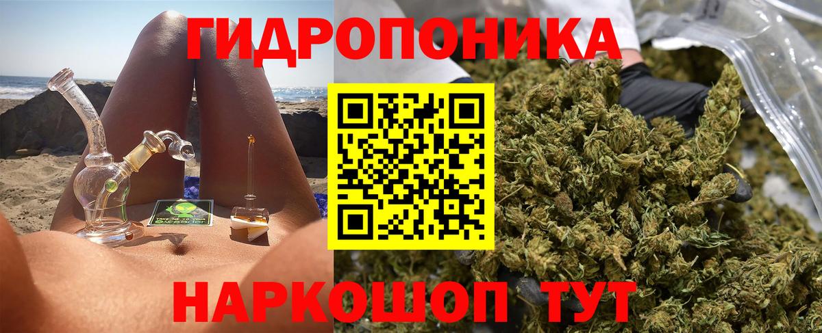 Шишки марихуана семена  Вход с VPN  Бошки Шишки марихуана  Асино  Бошки марихуана семена 